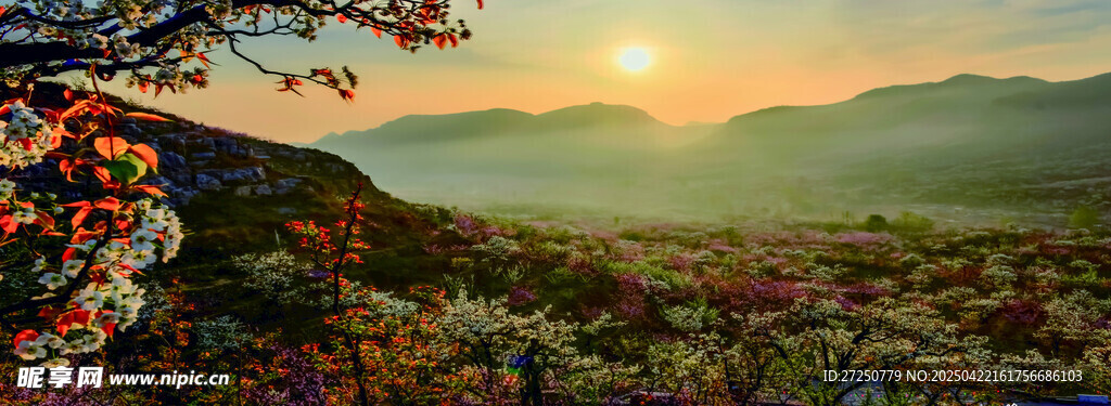 山间日出美景