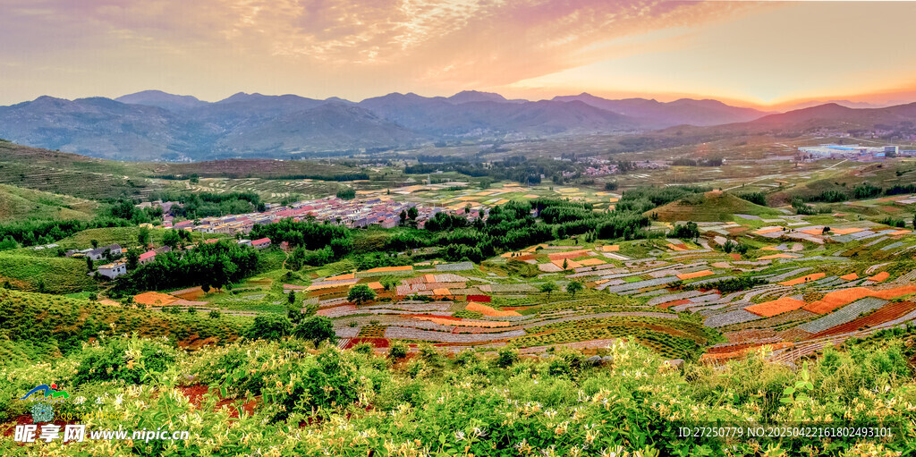 田园风光中的美丽山谷景色