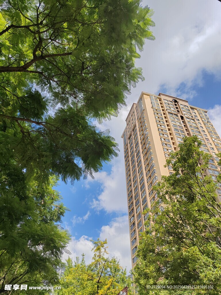 绿树环绕的摩天大楼
