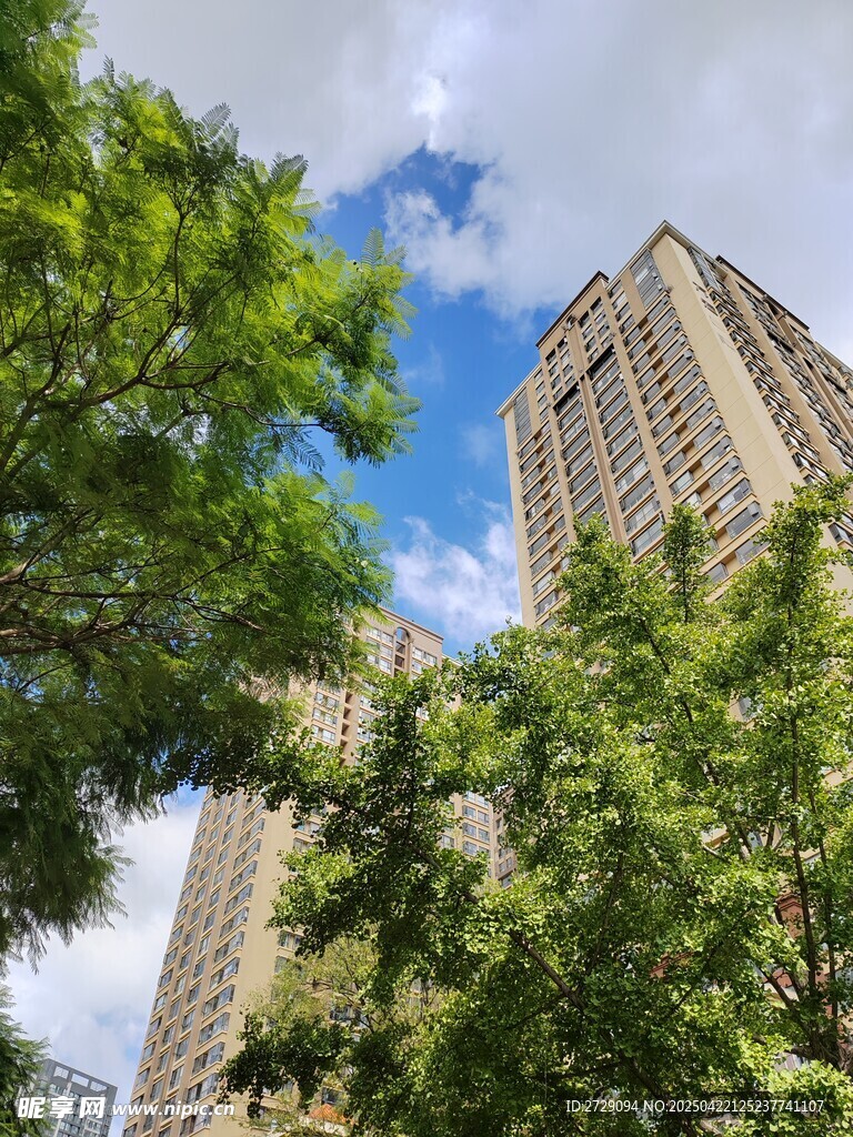 绿树掩映下的高楼大厦