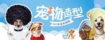 宠物造型