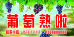 葡萄成熟啦 新鲜美味上市
