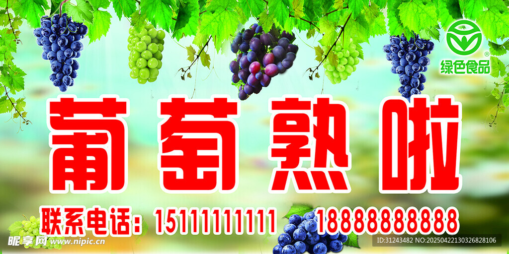 葡萄成熟啦 新鲜美味上市