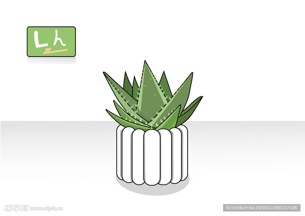 芦荟