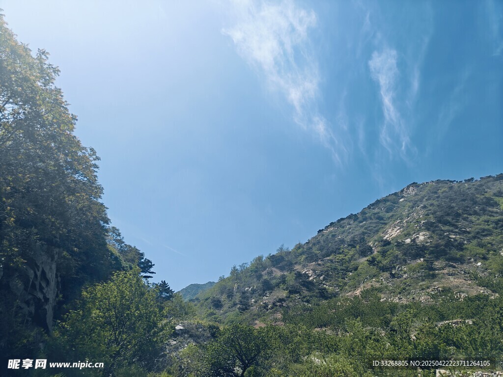 山间蓝天绿树美景
