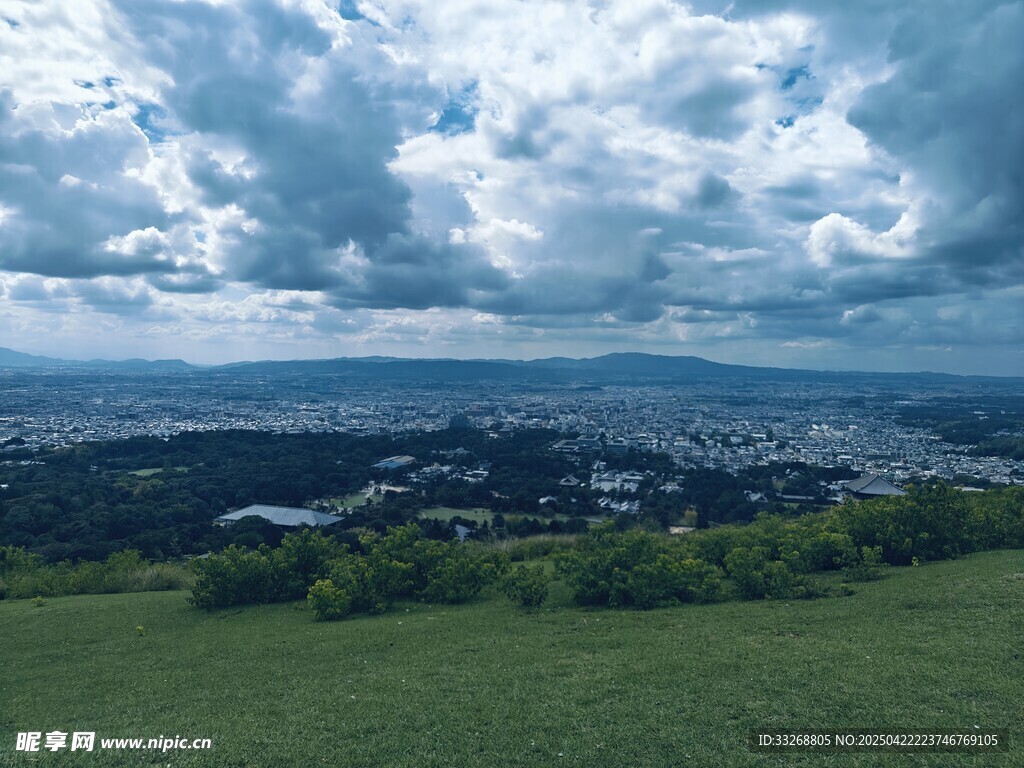 俯瞰绿意盎然的城镇景观