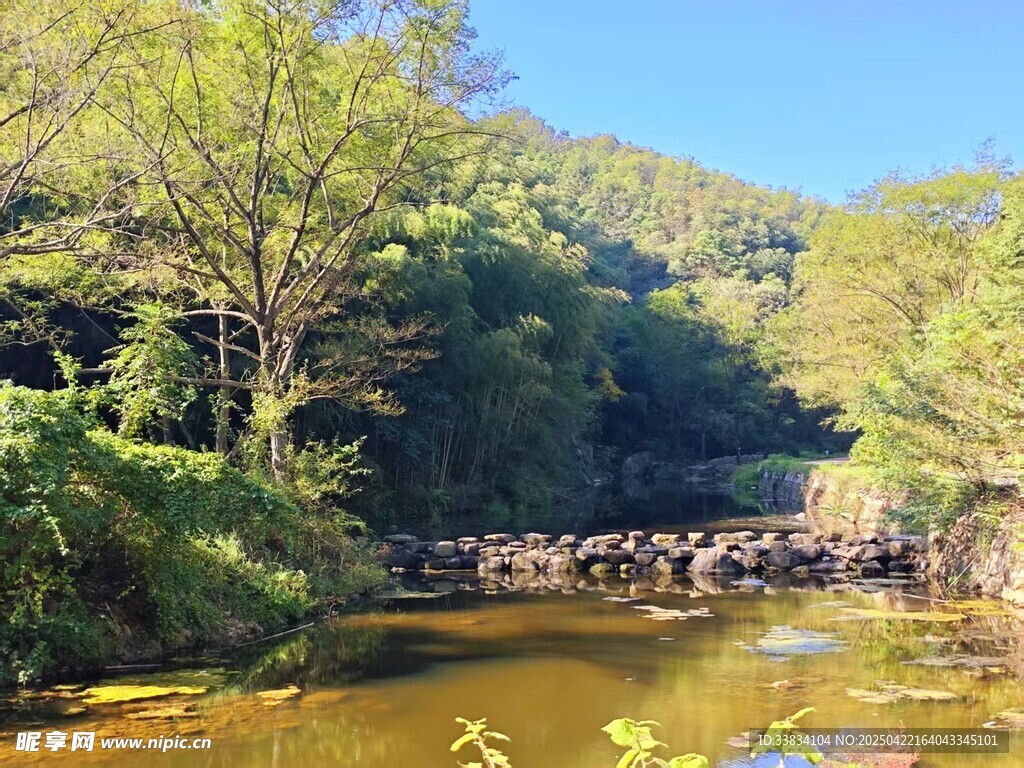 溪边绿意盎然的自然景致