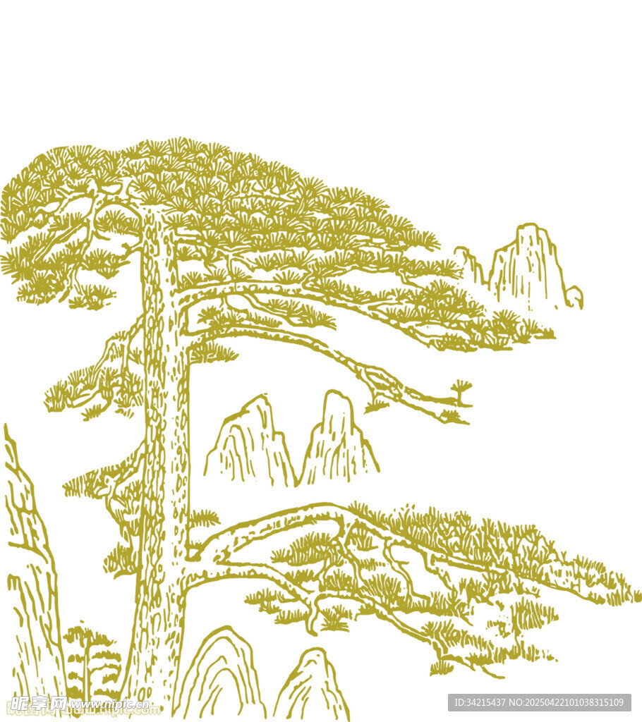 松树