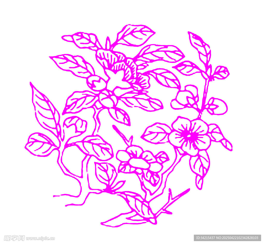 线条花
