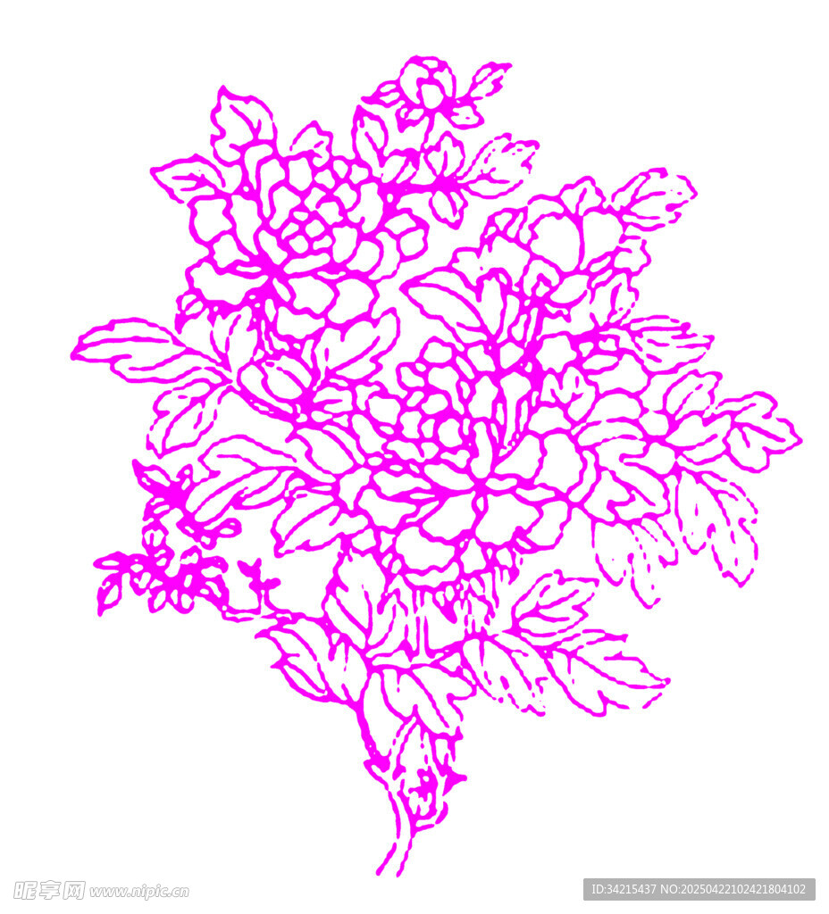 线条花