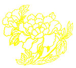 牡丹花线条