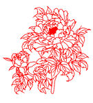牡丹花线条