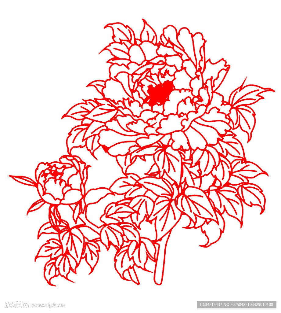 牡丹花线条