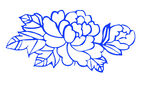 牡丹花线条