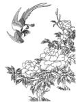 牡丹花线条