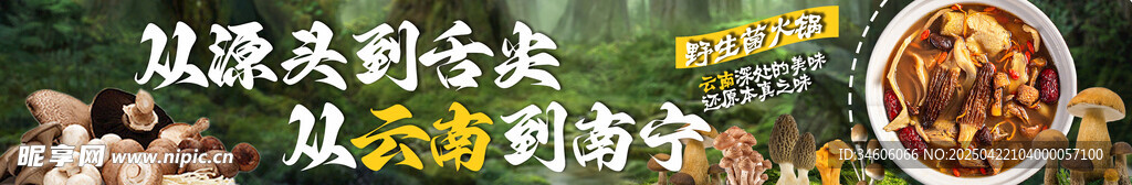 野生菌