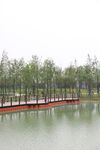 水上公园