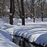 雪 冬日