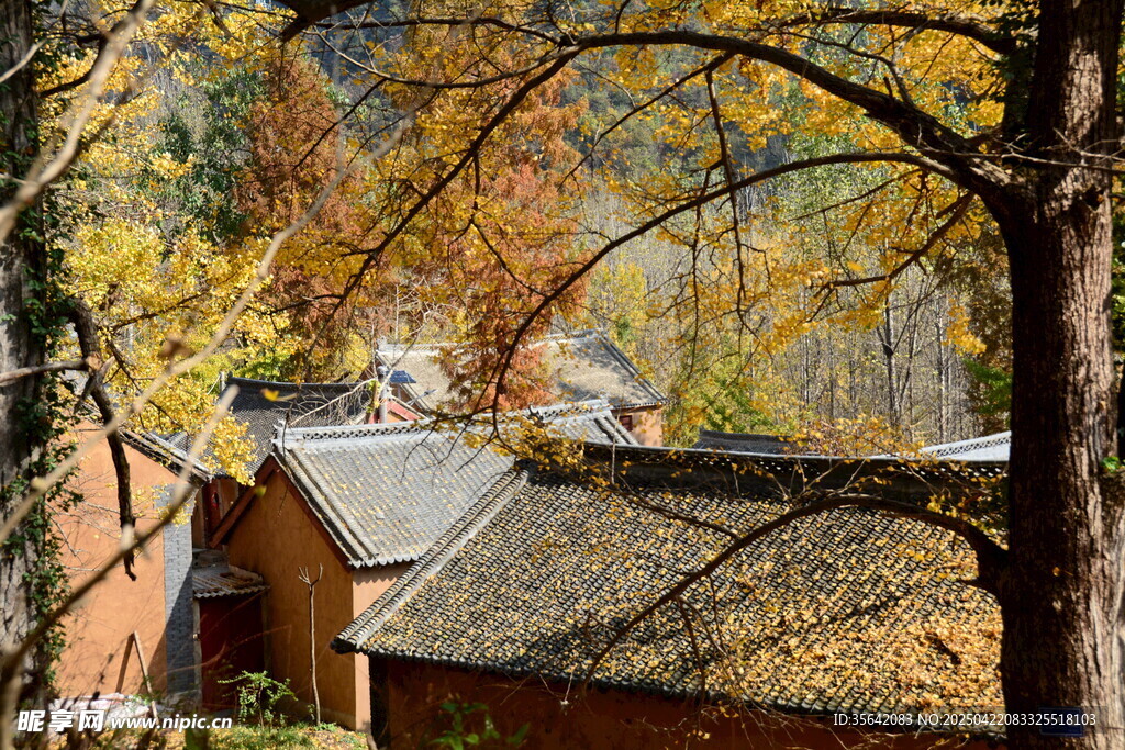 秋日林间小屋