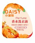 小雏菊香水洗衣液不干胶标签