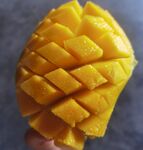 手捧切块的新鲜黄芒果