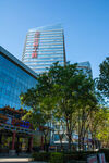 城市现代建筑与街边绿树