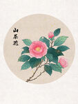 山茶花