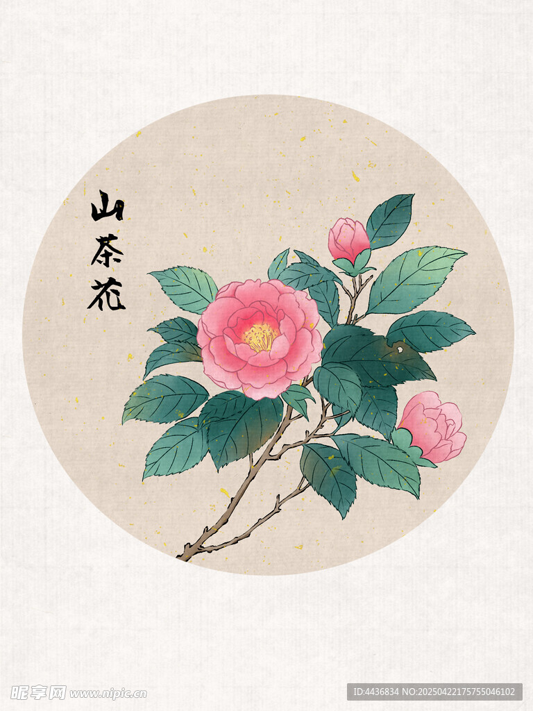 山茶花