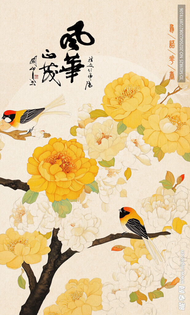 古风花鸟背景