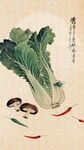 水墨白菜