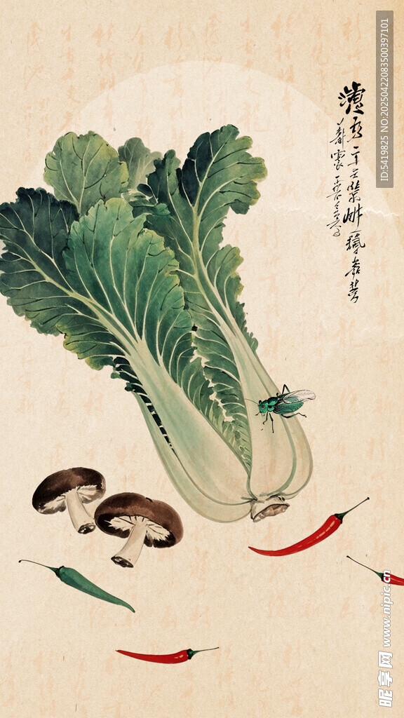 水墨白菜