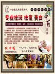 专业祛斑 祛痘 美白