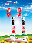希望奇迹主题励志宣传图