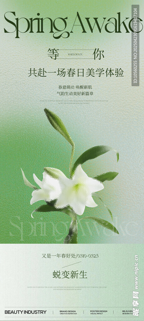 清新茉莉花茶宣传页