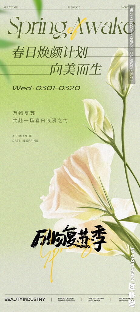 春日计划