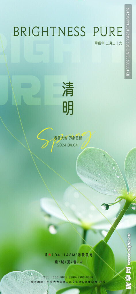 清新绿叶露珠自然美景