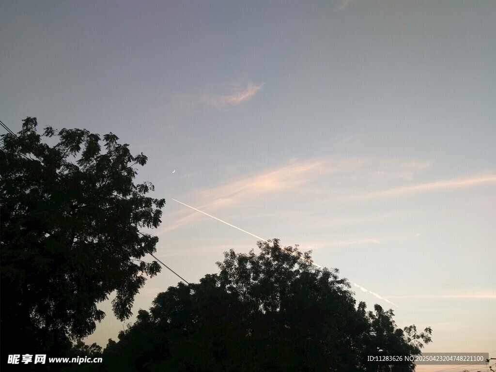 树梢与天空