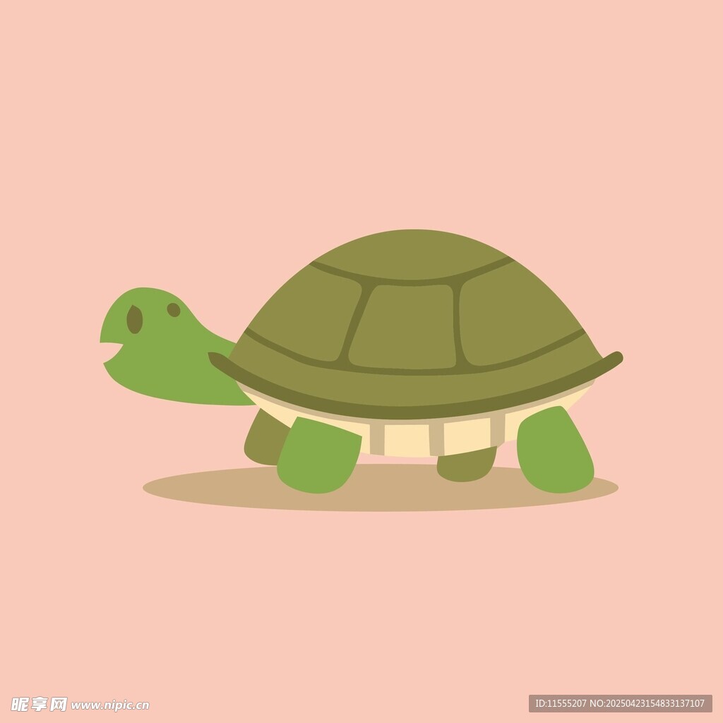 可爱卡通小乌龟
