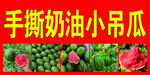 奶油小吊瓜