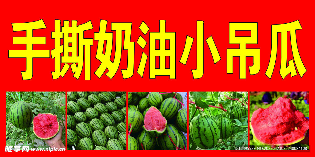 奶油小吊瓜