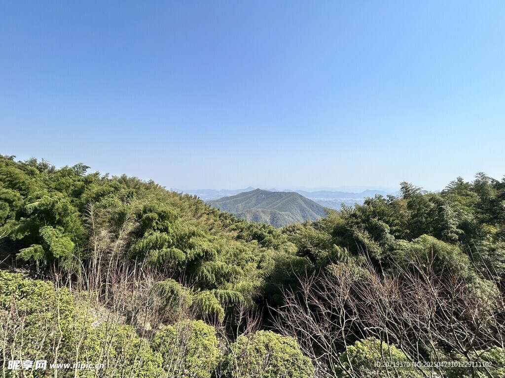 山林绿意 蓝天远景