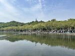 湖畔美景 绿树碧水相映