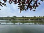 杭州西湖