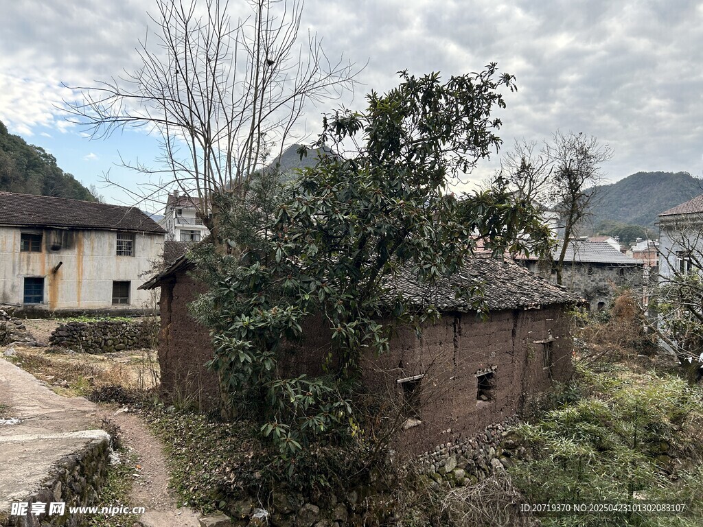 乡村小屋隐于绿植之间