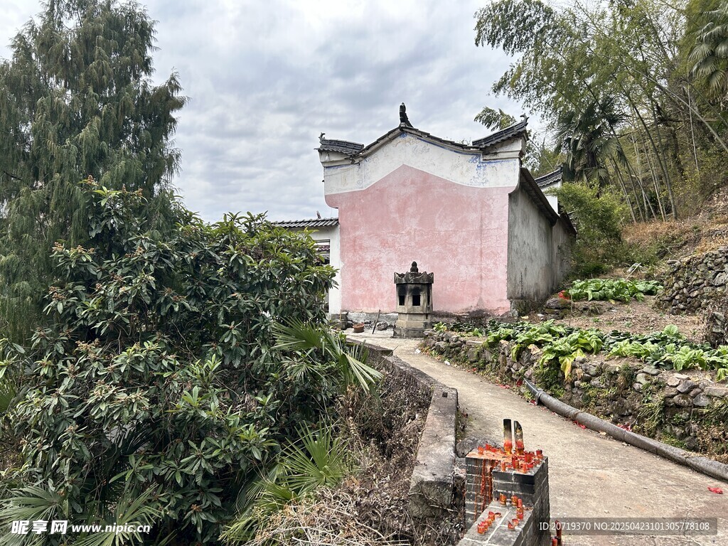 乡村小道旁的古朴粉色建筑