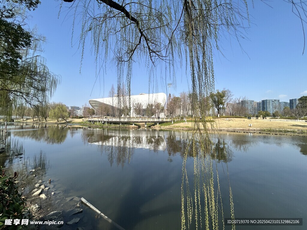湖畔垂柳映蓝天美景