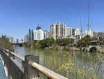河畔城市风光美景
