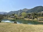 湖畔青山美景如画
