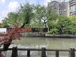 河畔景致 绿树红枫伴楼景