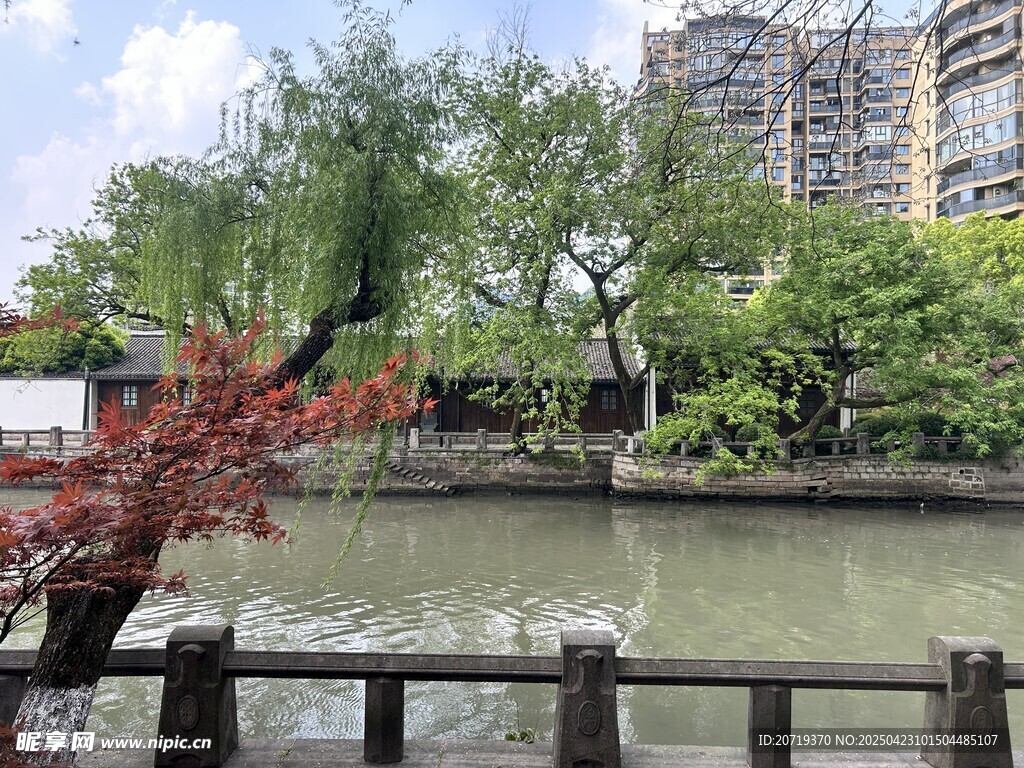 河畔景致 绿树红枫伴楼景